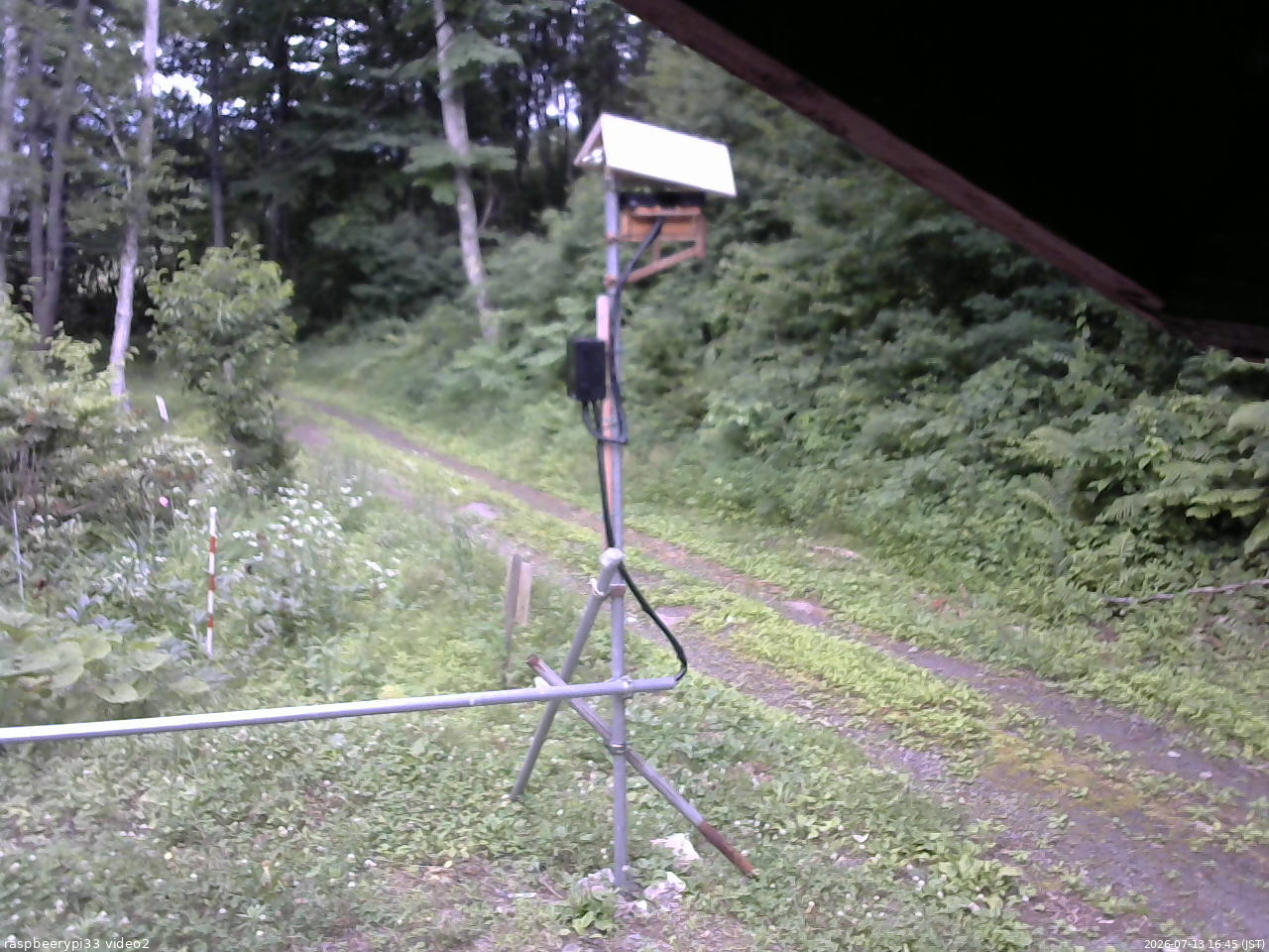 長野県菅平高原 ゆたか山荘 南側 2026/07/13 16:45