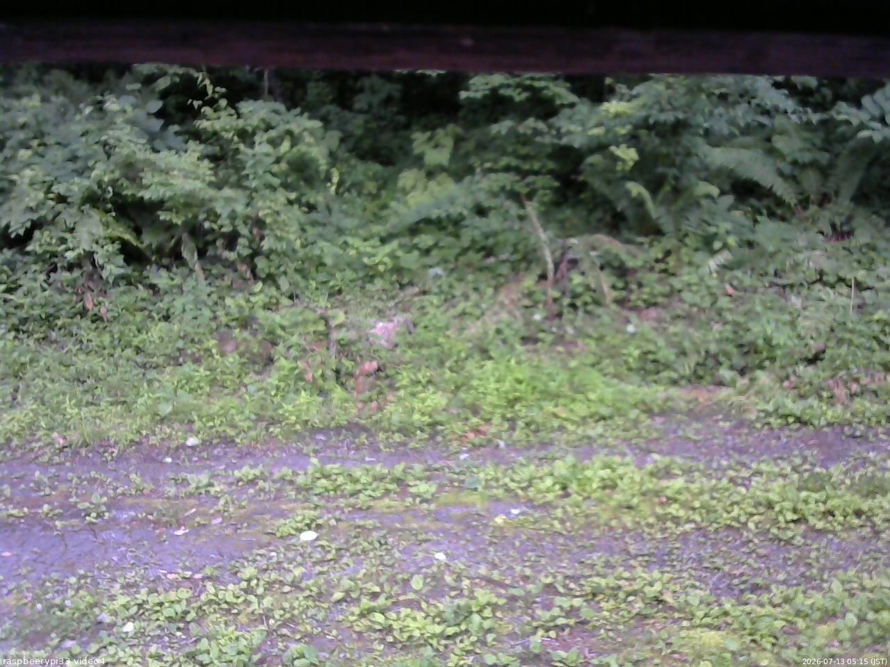 長野県菅平高原 ゆたか山荘 東側(坂下) 2026/07/13 05:15
