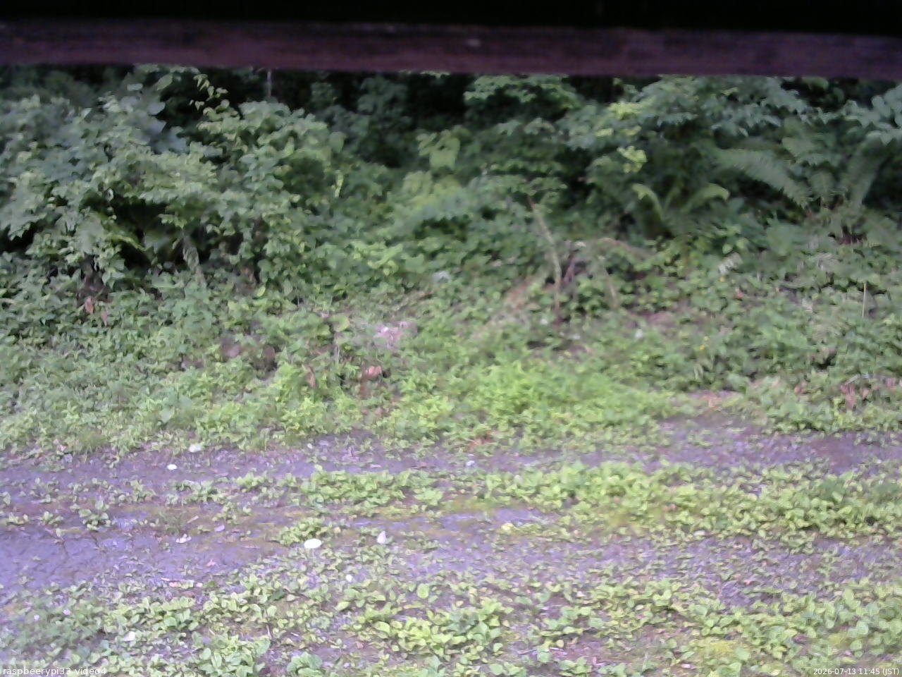 長野県菅平高原 ゆたか山荘 東側(坂下) 2026/07/13 11:45
