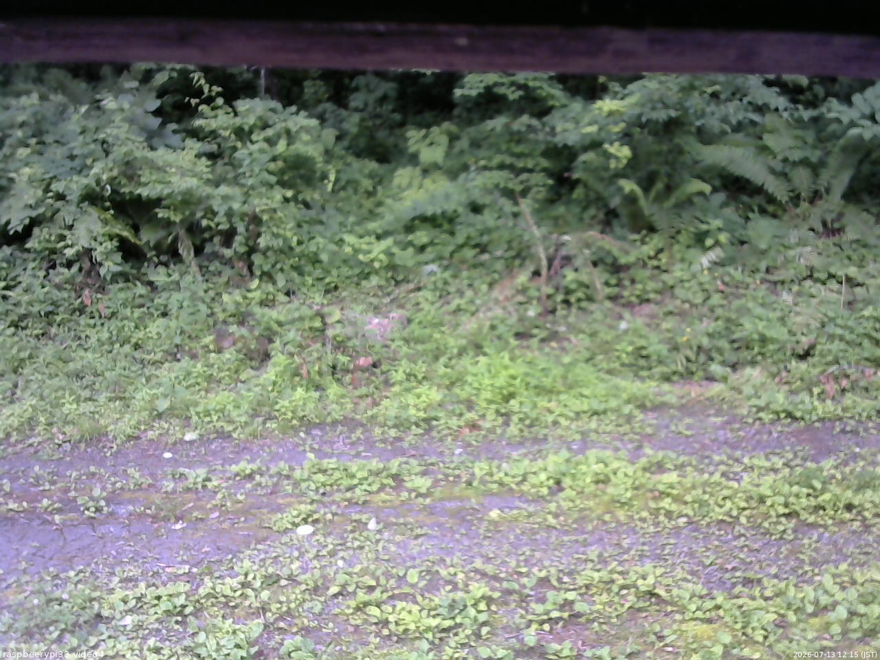 長野県菅平高原 ゆたか山荘 東側(坂下) 2026/07/13 12:15