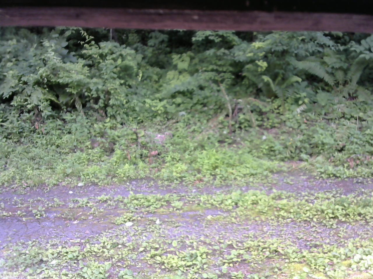 長野県菅平高原 ゆたか山荘 東側(坂下) 2026/07/13 14:00