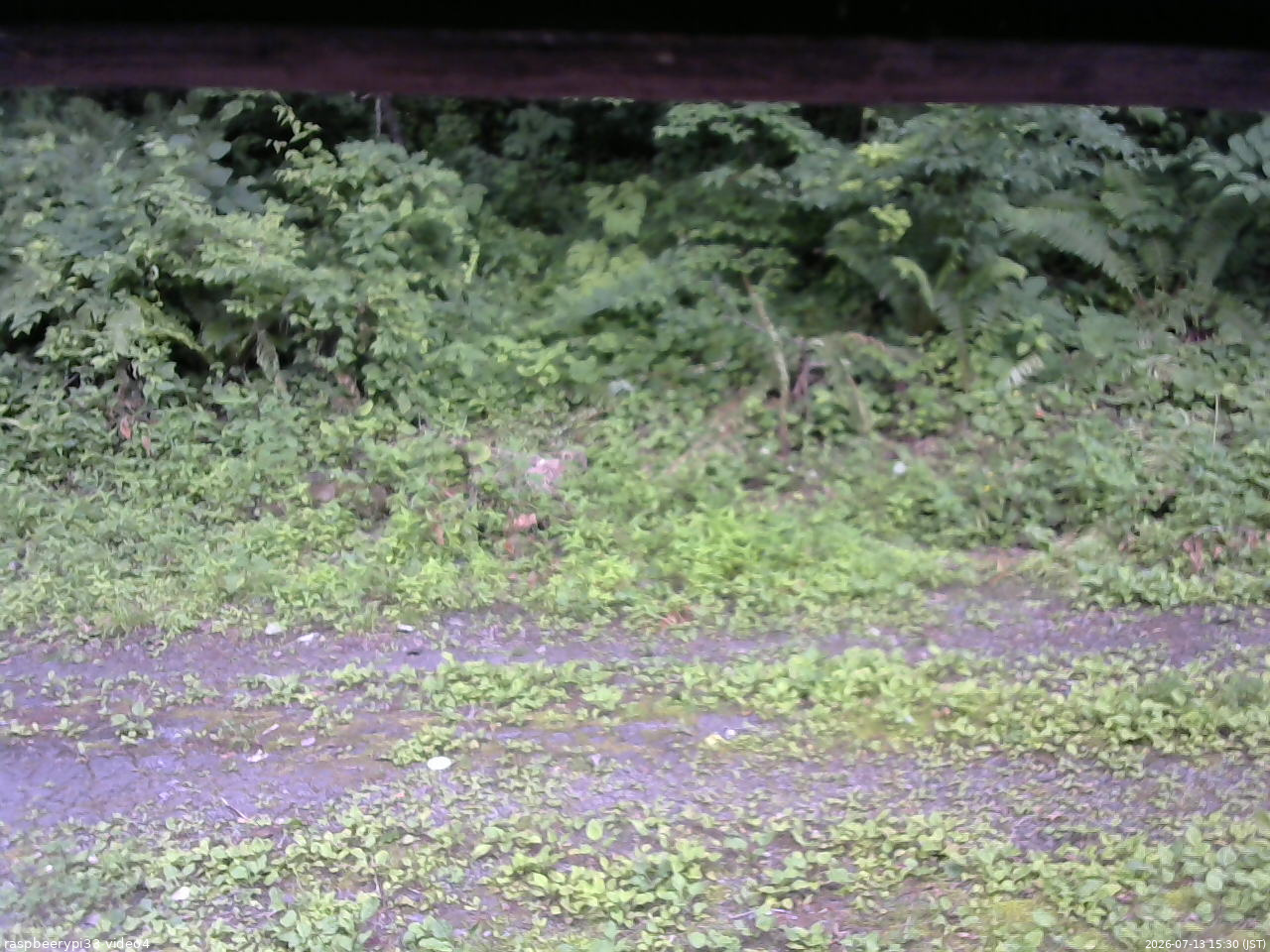 長野県菅平高原 ゆたか山荘 東側(坂下) 2026/07/13 15:30