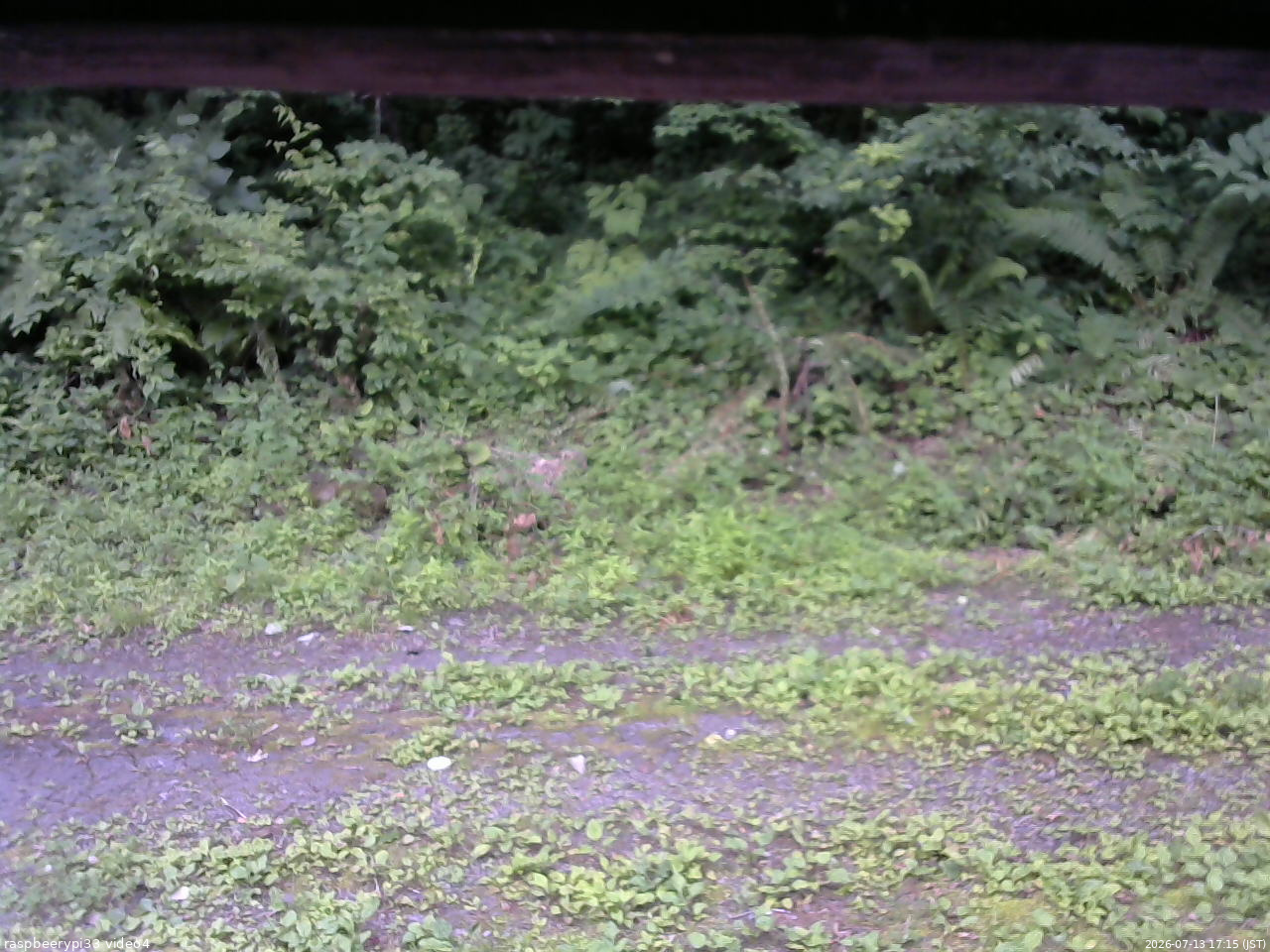 長野県菅平高原 ゆたか山荘 東側(坂下) 2026/07/13 17:15
