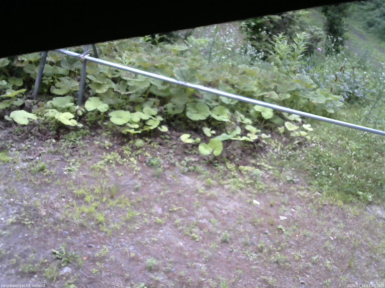 長野県菅平高原 ゆたか山荘 駐車場 2026/07/13 07:00