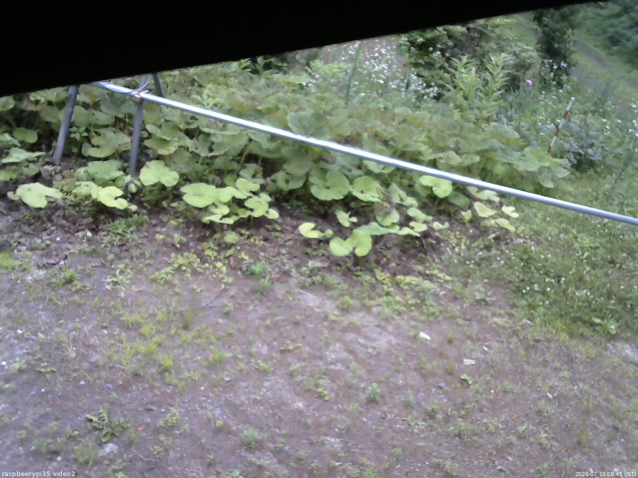 長野県菅平高原 ゆたか山荘 駐車場 2026/07/13 08:45