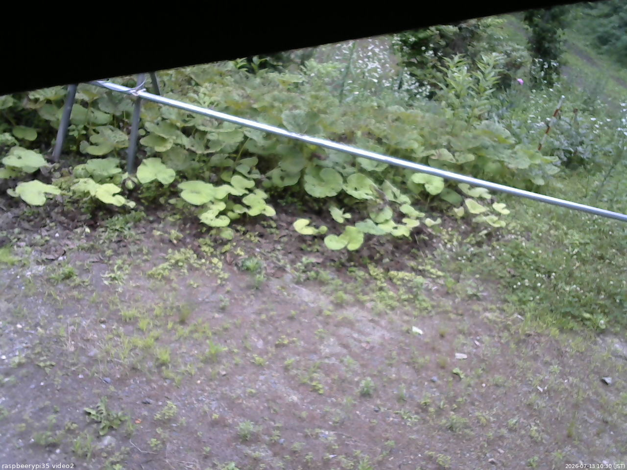 長野県菅平高原 ゆたか山荘 駐車場 2026/07/13 10:30