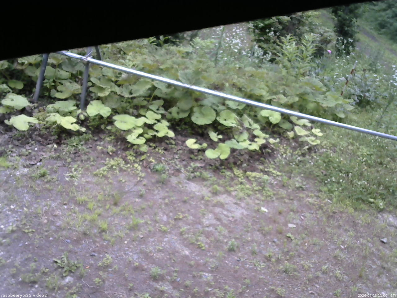 長野県菅平高原 ゆたか山荘 駐車場 2026/07/13 11:00
