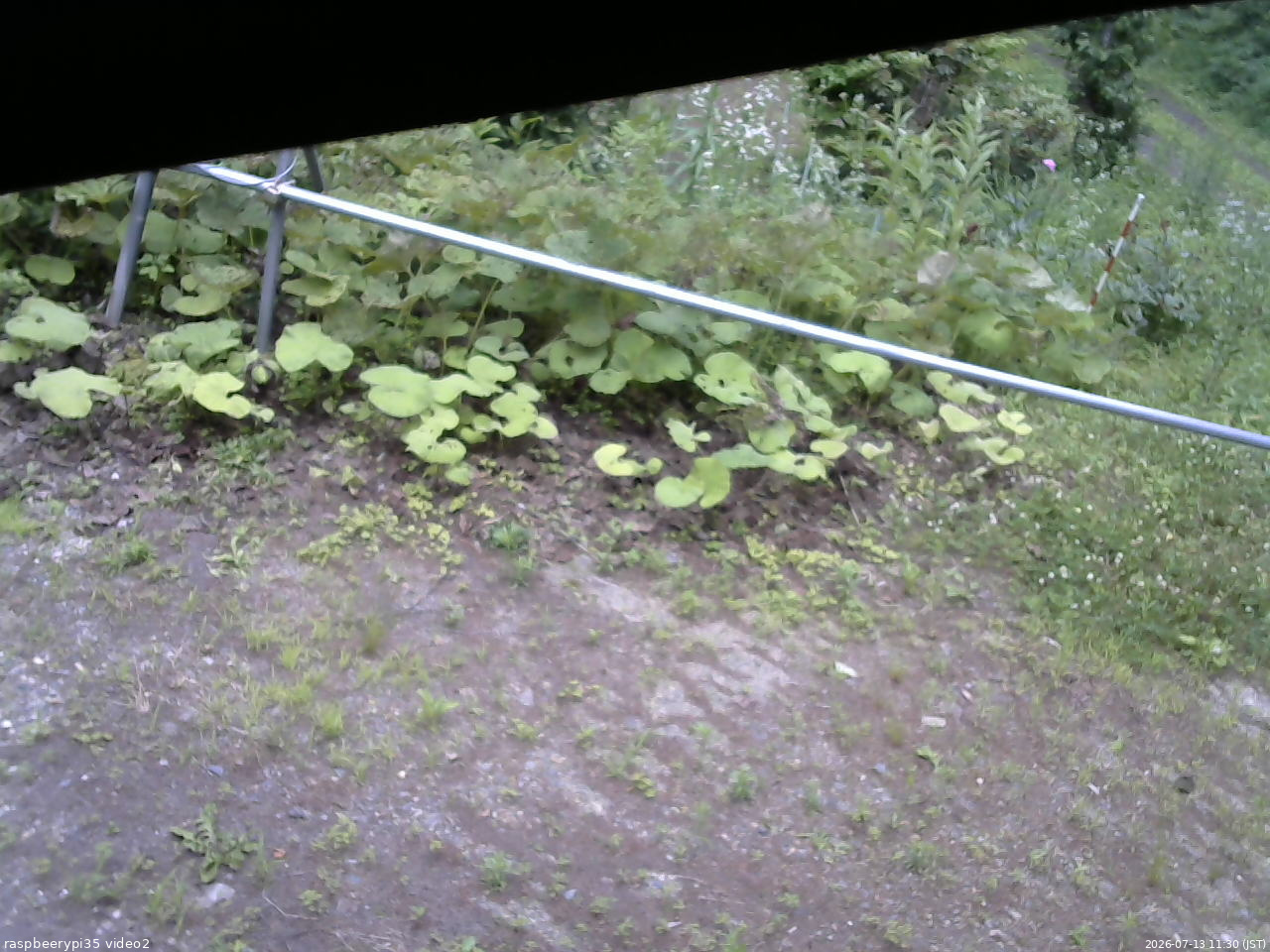 長野県菅平高原 ゆたか山荘 駐車場 2026/07/13 11:30