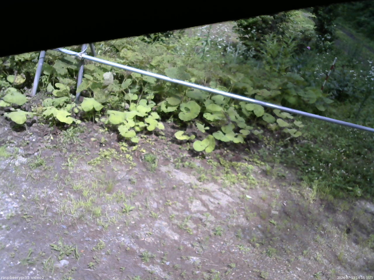 長野県菅平高原 ゆたか山荘 駐車場 2026/07/13 14:15