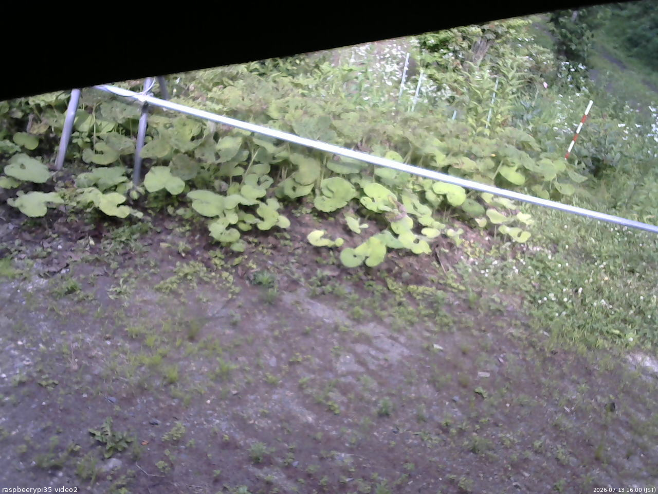 長野県菅平高原 ゆたか山荘 駐車場 2026/07/13 16:00