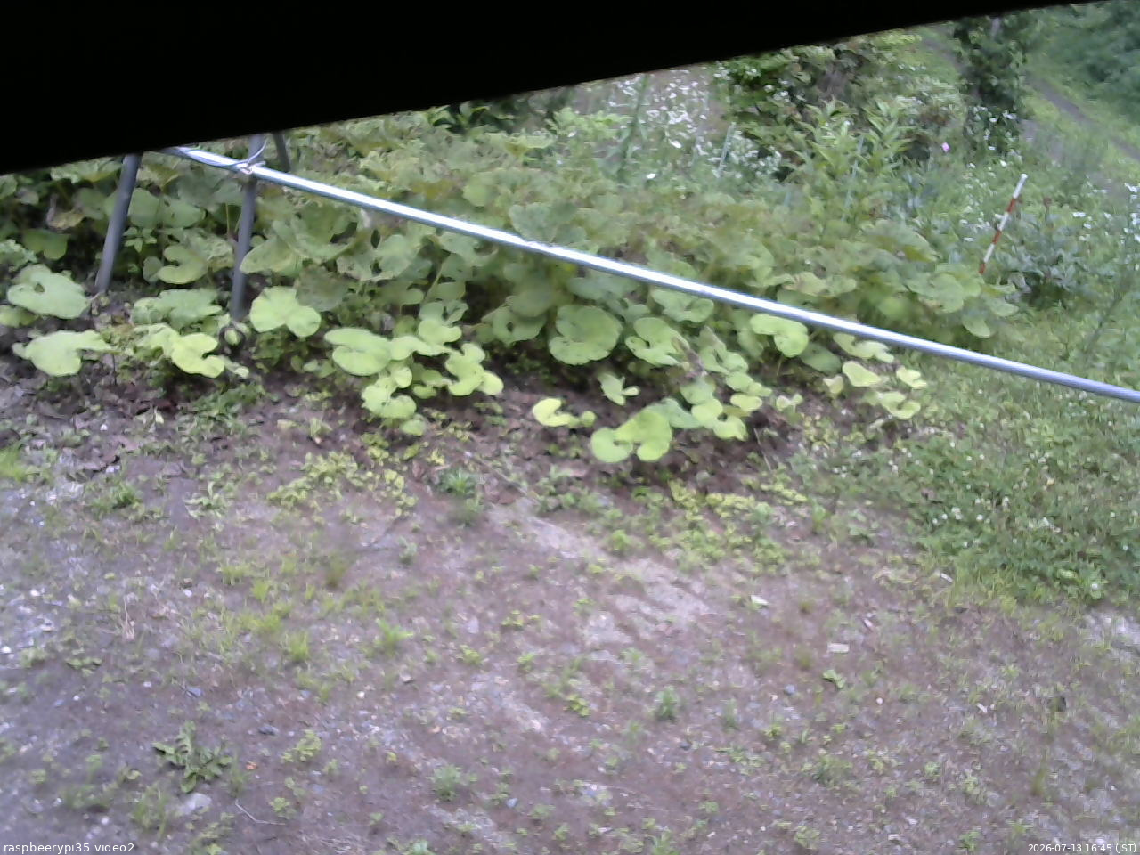 長野県菅平高原 ゆたか山荘 駐車場 2026/07/13 16:45