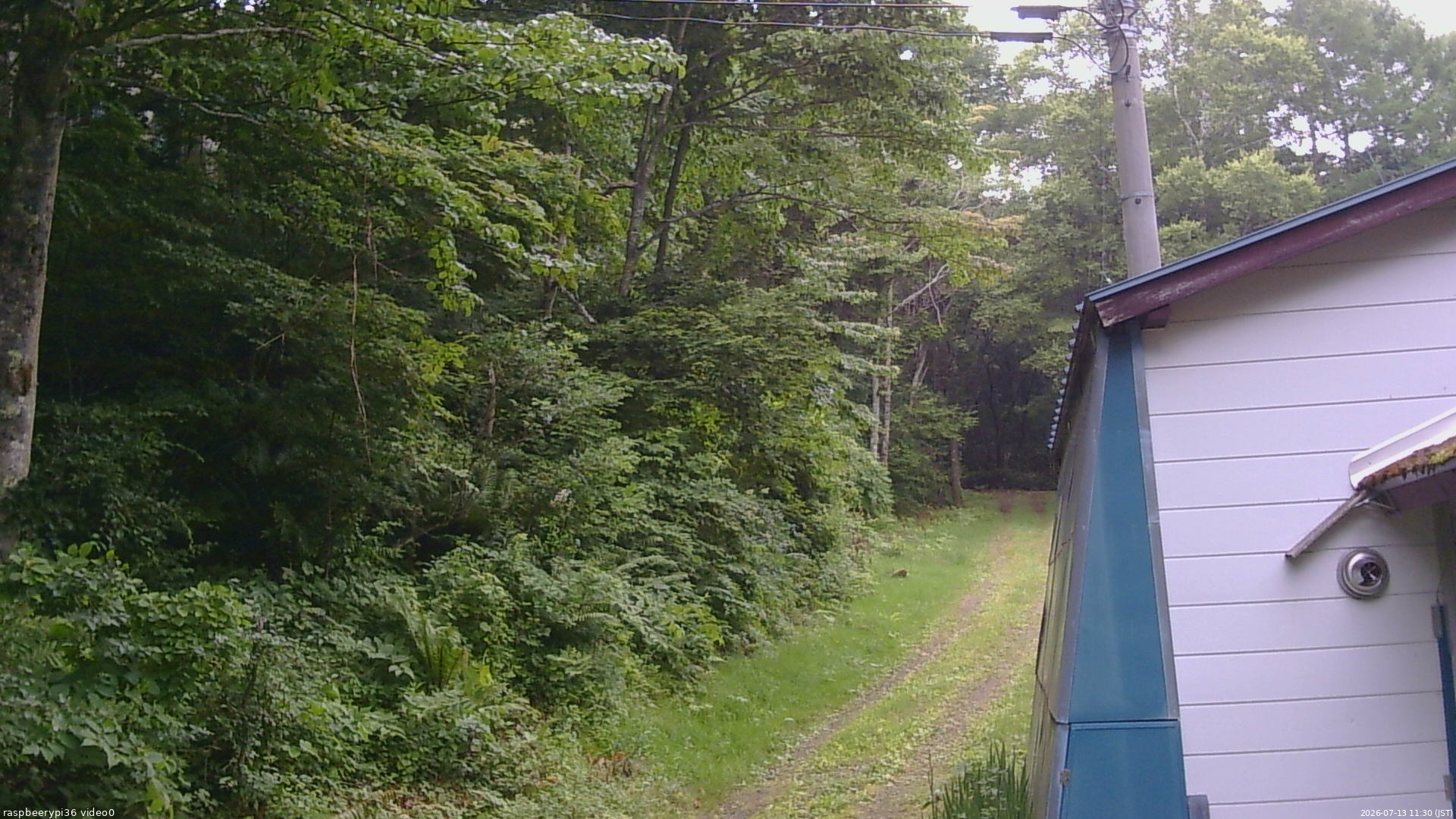 長野県菅平高原 ゆたか山荘 ゆたか山荘 2026/07/13 11:30