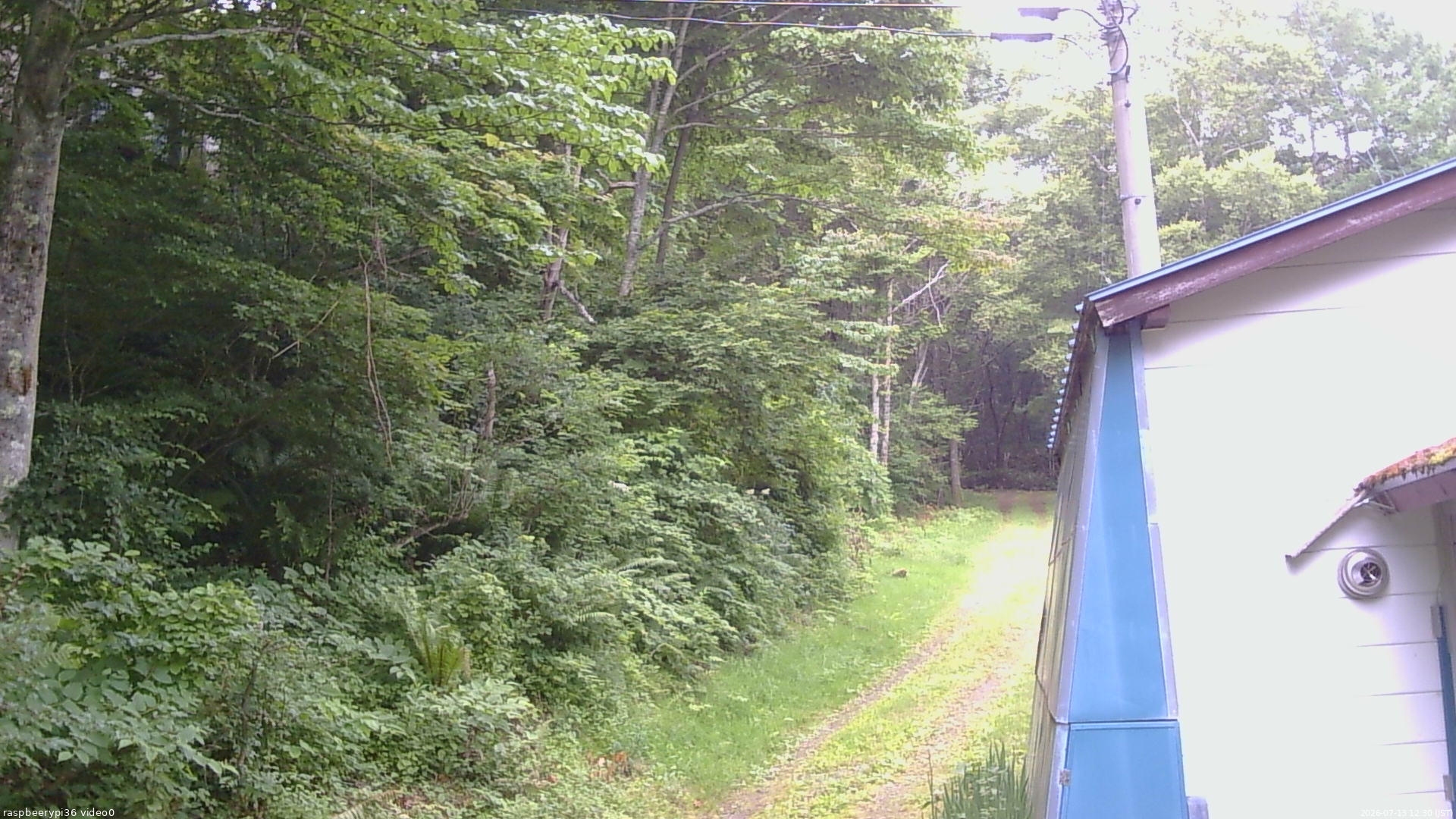 長野県菅平高原 ゆたか山荘 ゆたか山荘 2026/07/13 12:30