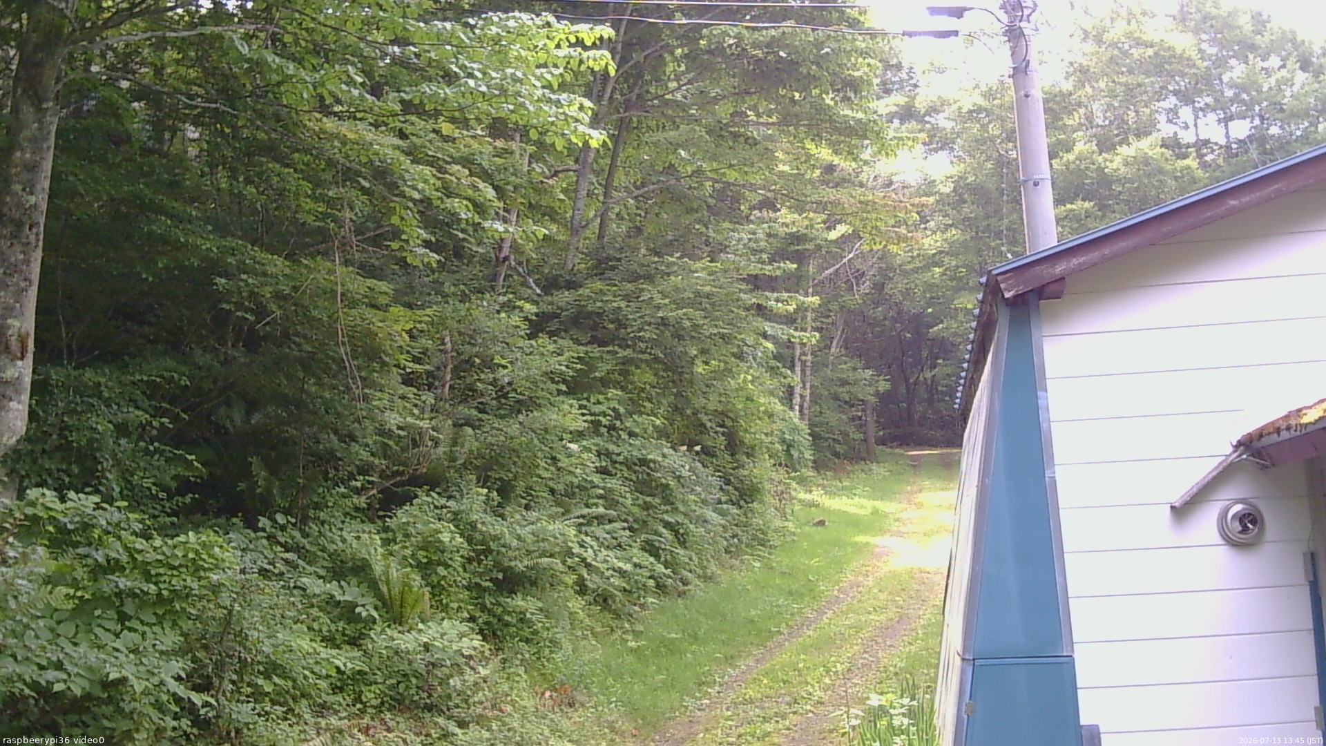 長野県菅平高原 ゆたか山荘 ゆたか山荘 2026/07/13 13:45