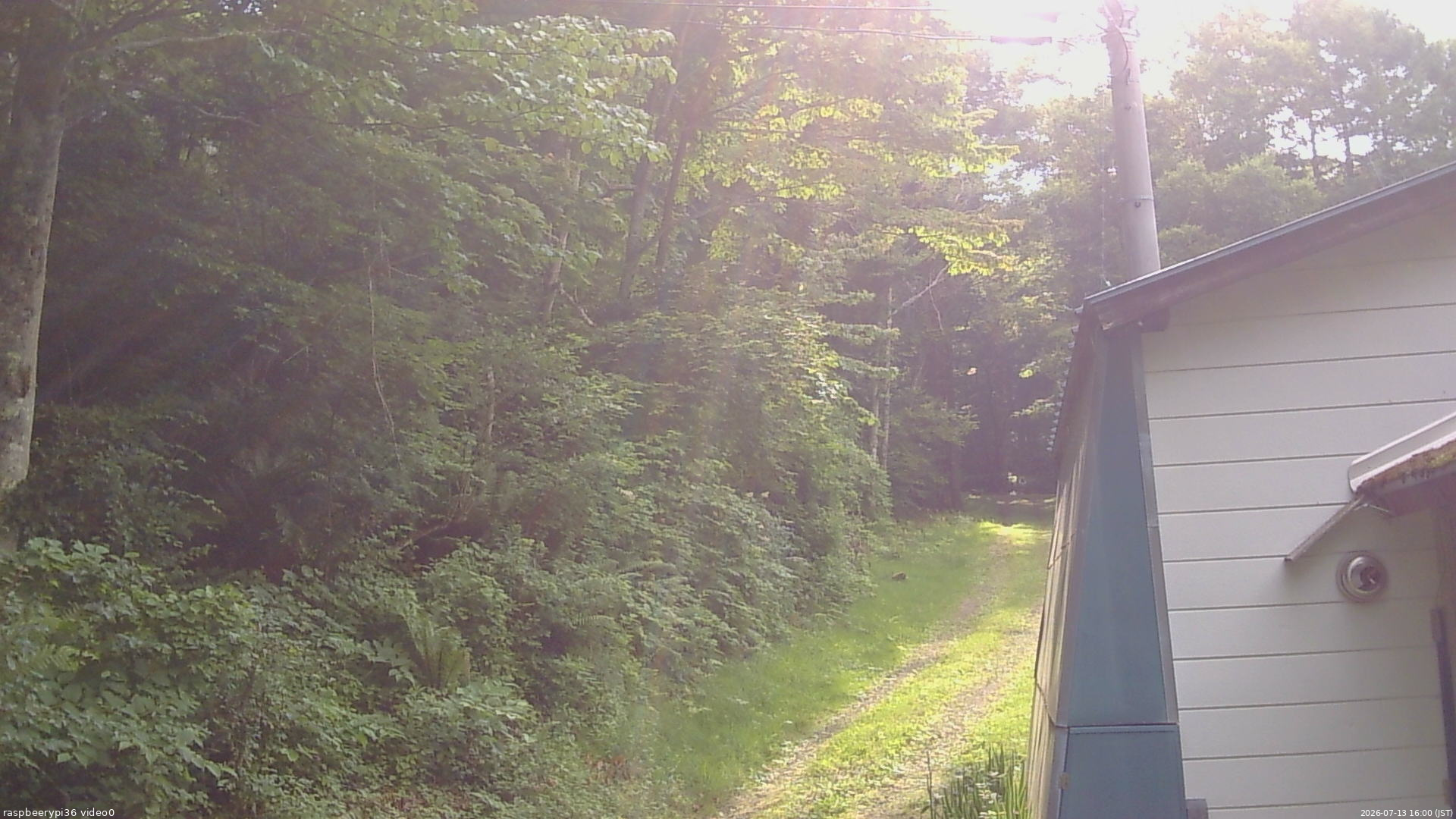 長野県菅平高原 ゆたか山荘 ゆたか山荘 2026/07/13 16:00