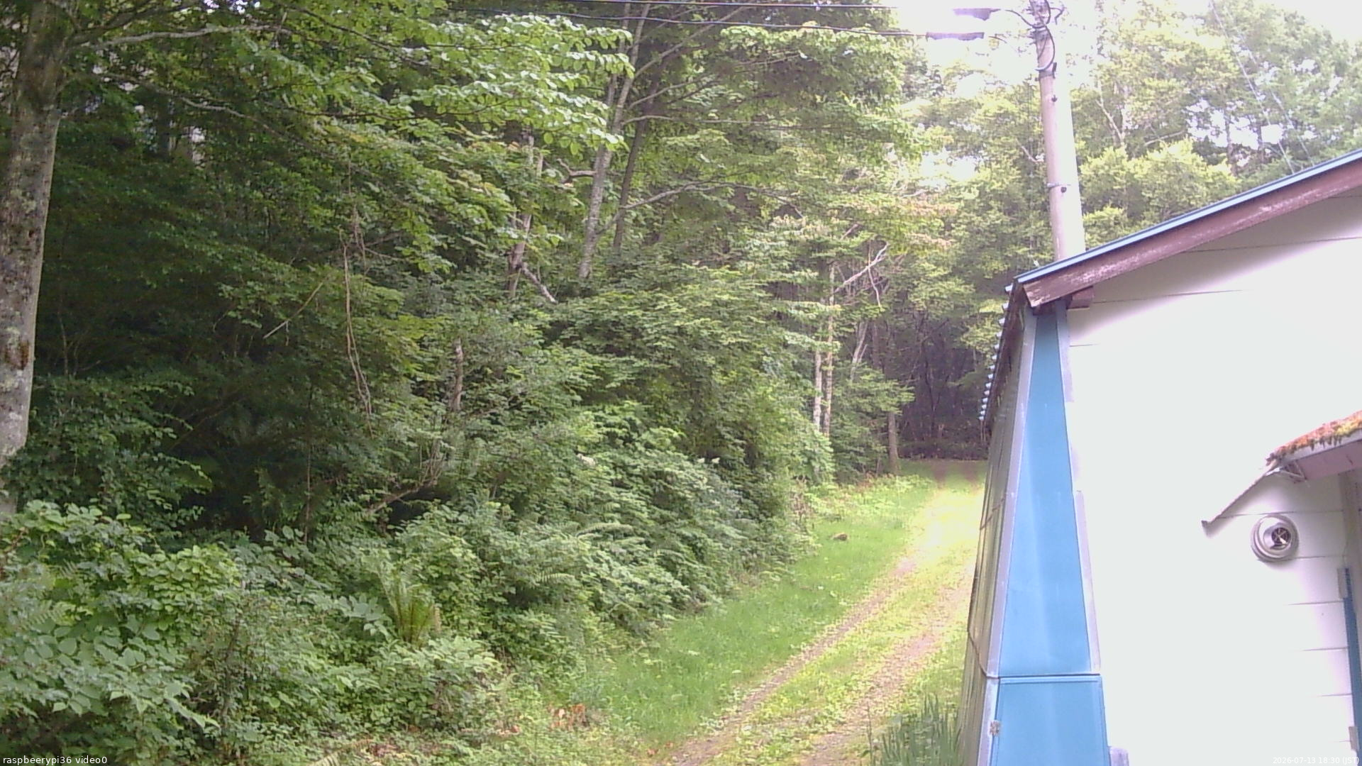 長野県菅平高原 ゆたか山荘 ゆたか山荘 2026/07/13 18:30