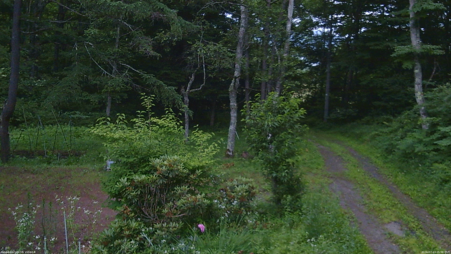 長野県菅平高原 ゆたか山荘 坂上 2026/07/13 05:00