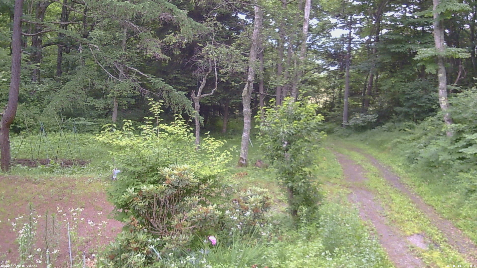 長野県菅平高原 ゆたか山荘 坂上 2026/07/13 06:30
