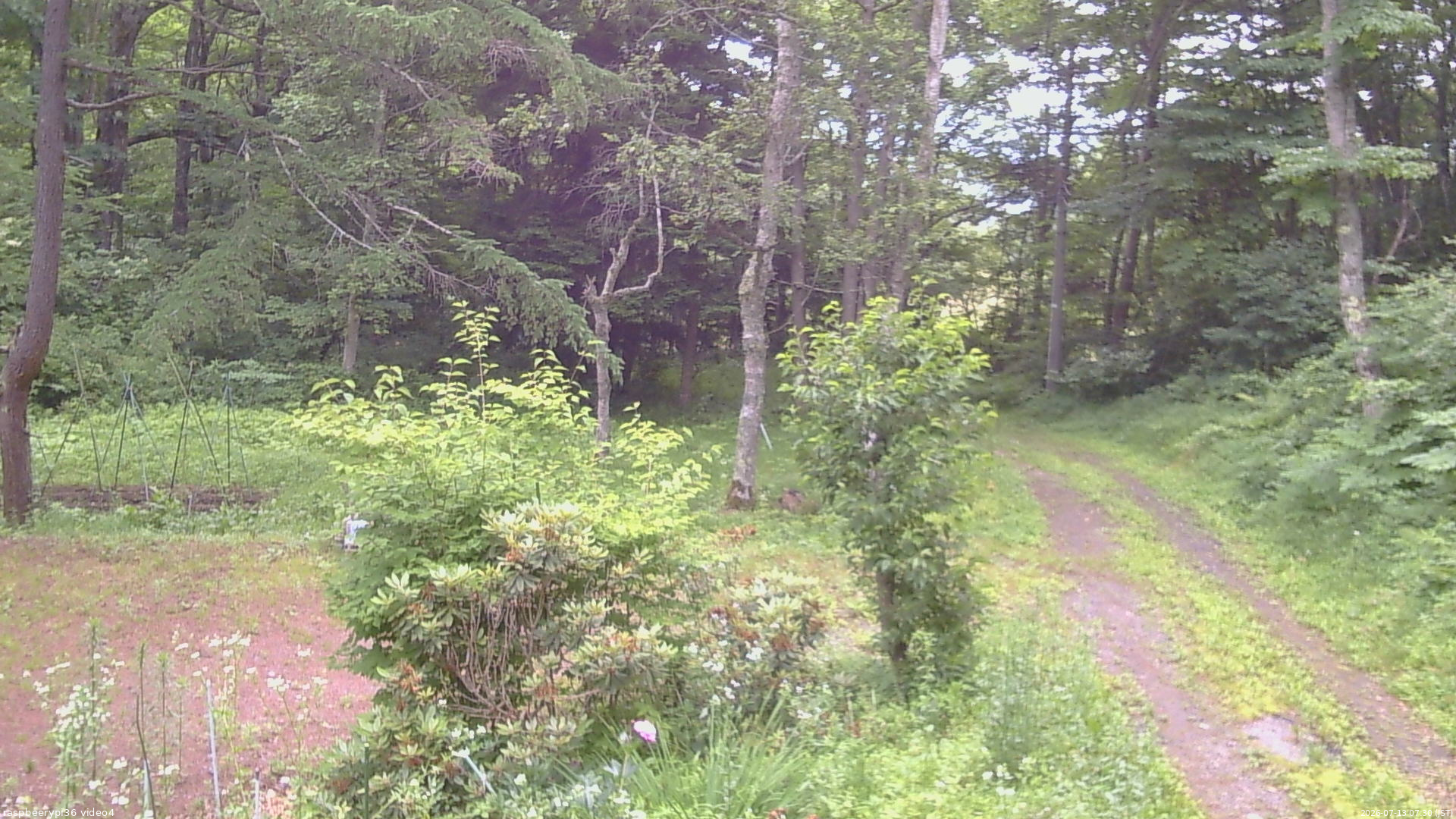 長野県菅平高原 ゆたか山荘 坂上 2026/07/13 07:30