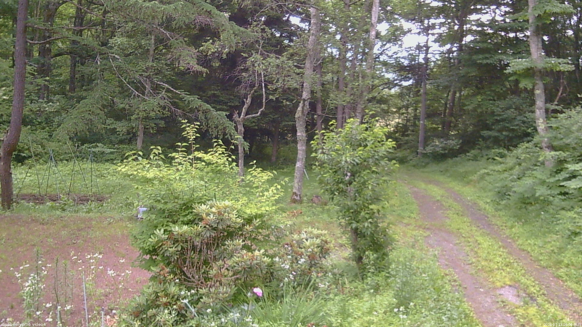 長野県菅平高原 ゆたか山荘 坂上 2026/07/13 08:00