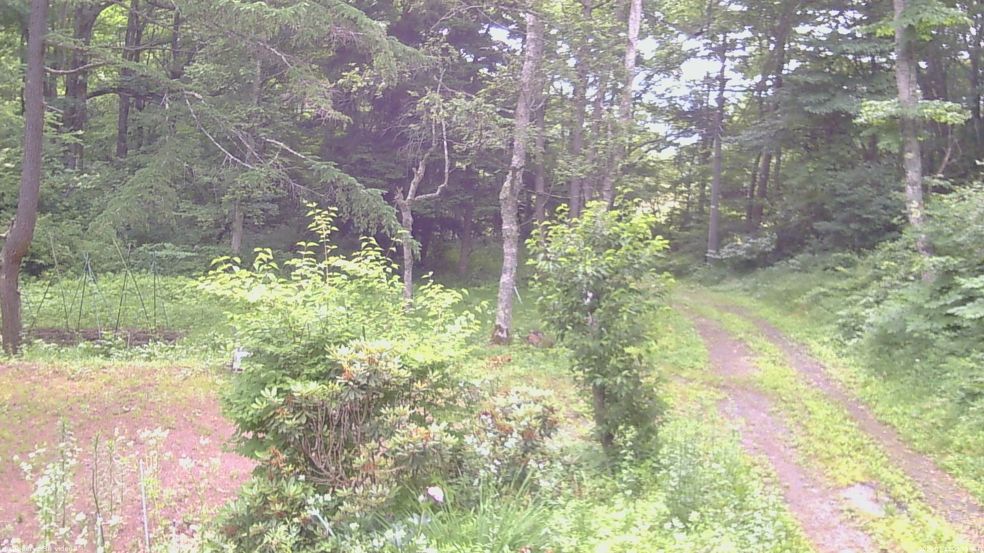 長野県菅平高原 ゆたか山荘 坂上 2026/07/13 09:15
