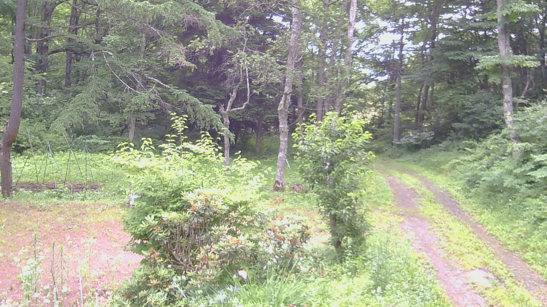 長野県菅平高原 ゆたか山荘 坂上 2026/07/13 10:30