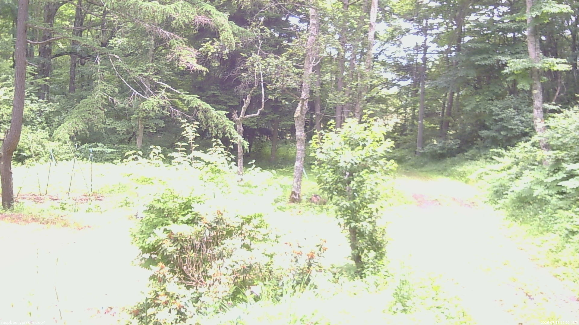 長野県菅平高原 ゆたか山荘 坂上 2026/07/13 12:00