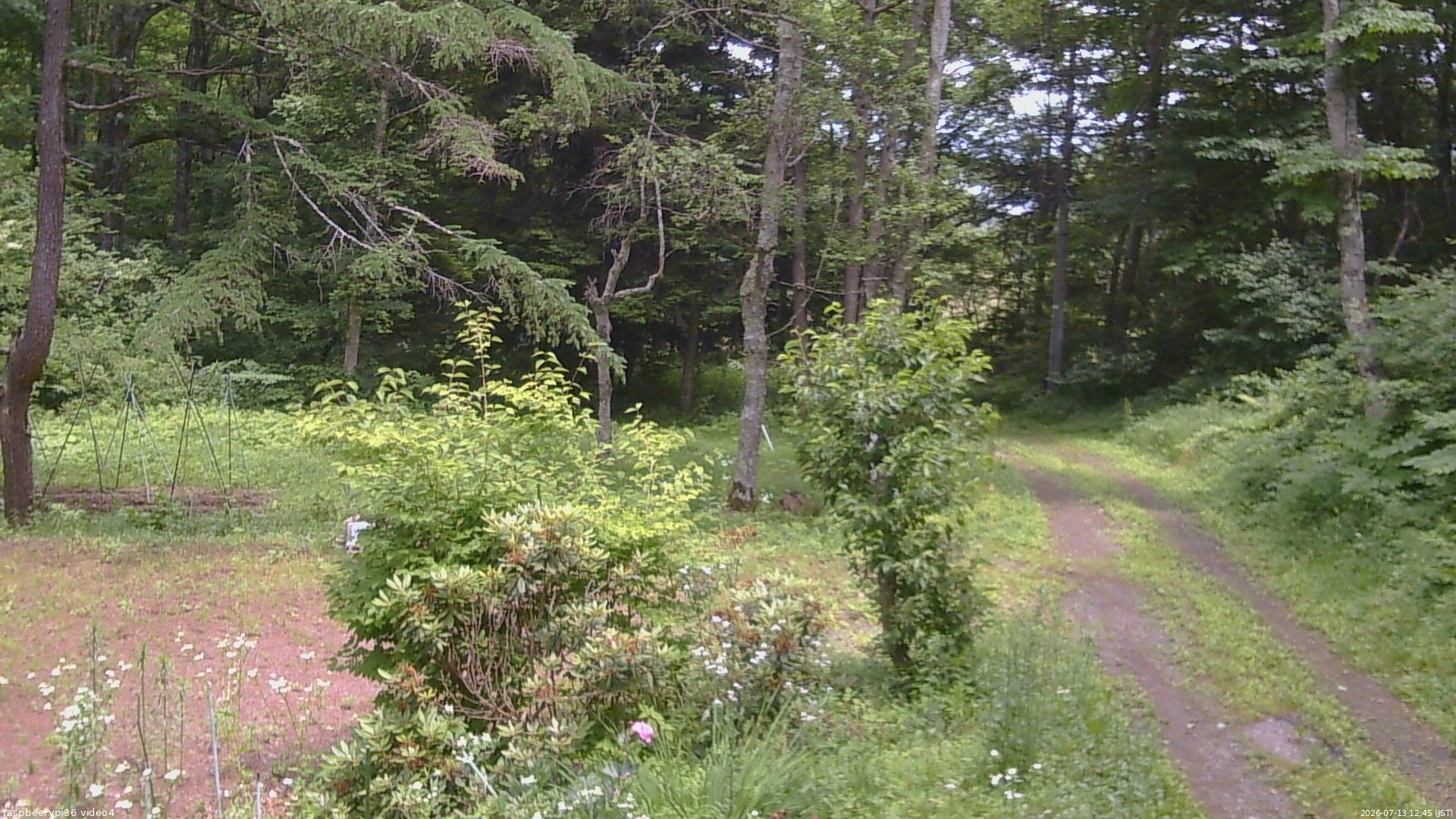 長野県菅平高原 ゆたか山荘 坂上 2026/07/13 12:45