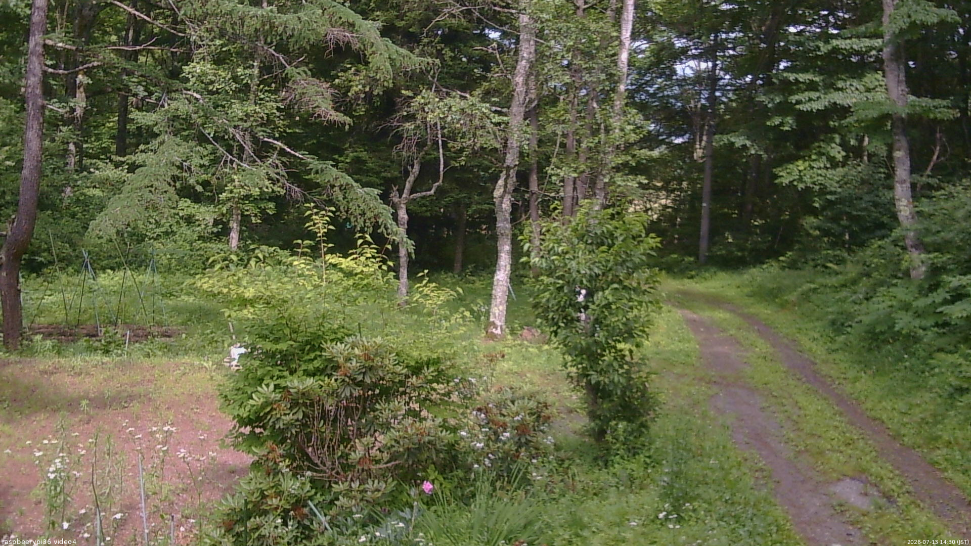 長野県菅平高原 ゆたか山荘 坂上 2026/07/13 14:30