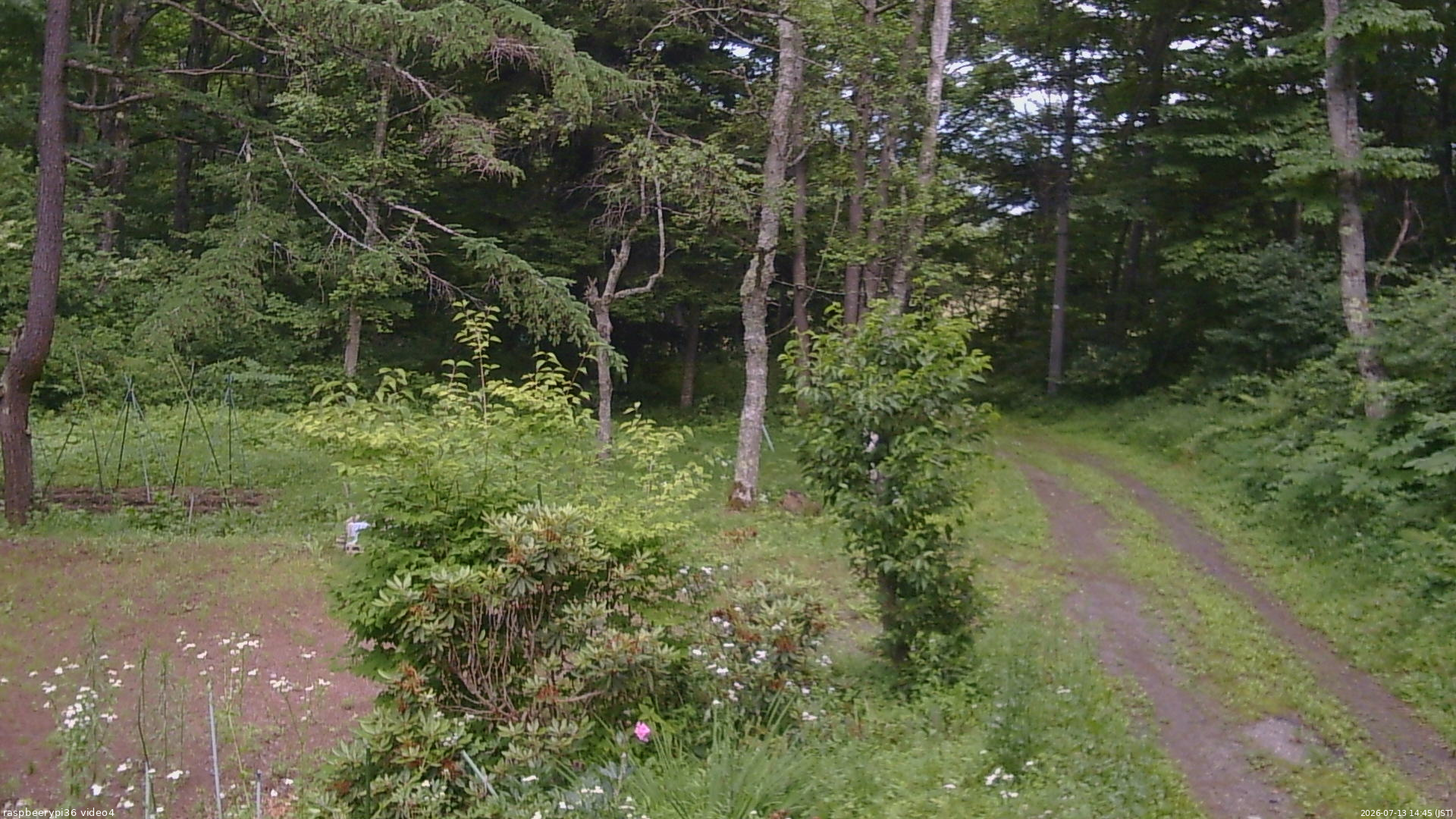 長野県菅平高原 ゆたか山荘 坂上 2026/07/13 14:45