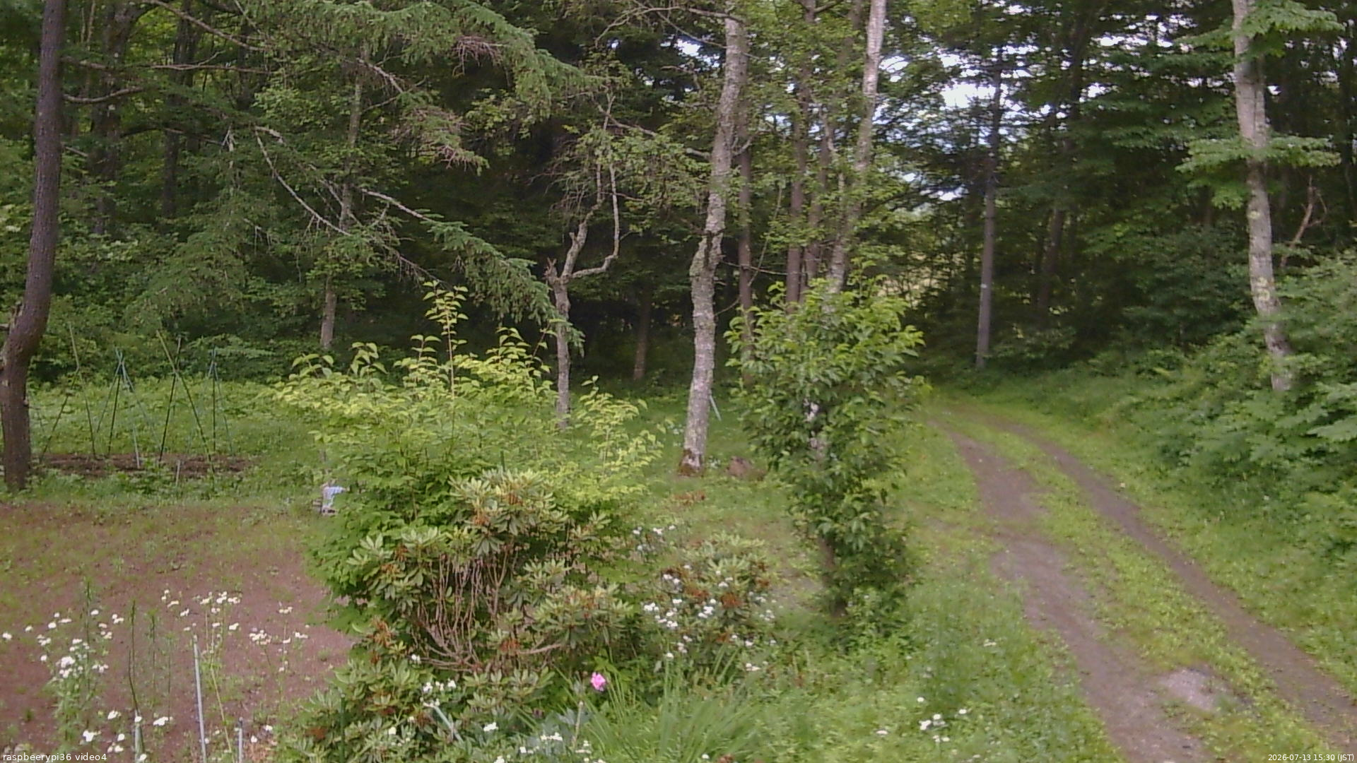 長野県菅平高原 ゆたか山荘 坂上 2026/07/13 15:30