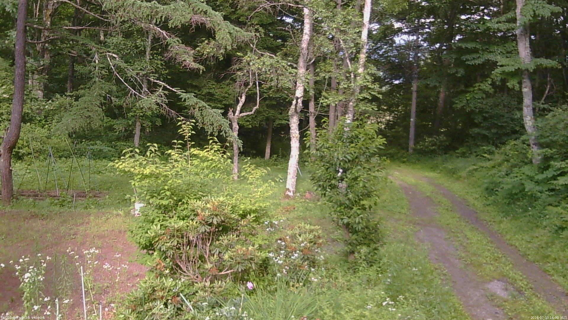 長野県菅平高原 ゆたか山荘 坂上 2026/07/13 16:00