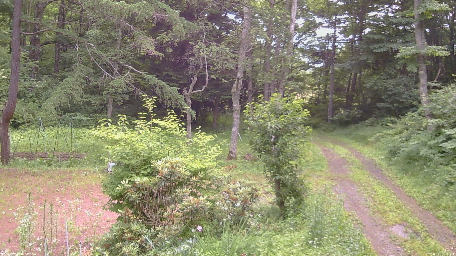 長野県菅平高原 ゆたか山荘 坂上 2026/07/13 18:15