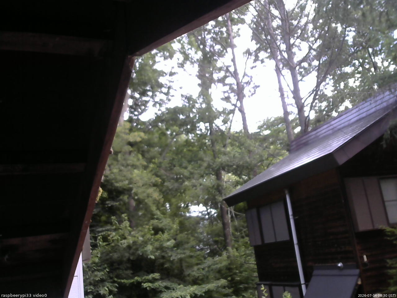 長野県菅平高原 ゆたか山荘 北側 2026/07/14 08:30