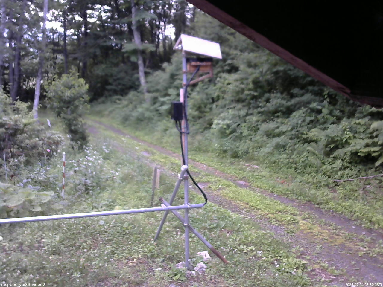 長野県菅平高原 ゆたか山荘 南側 2026/07/14 05:30