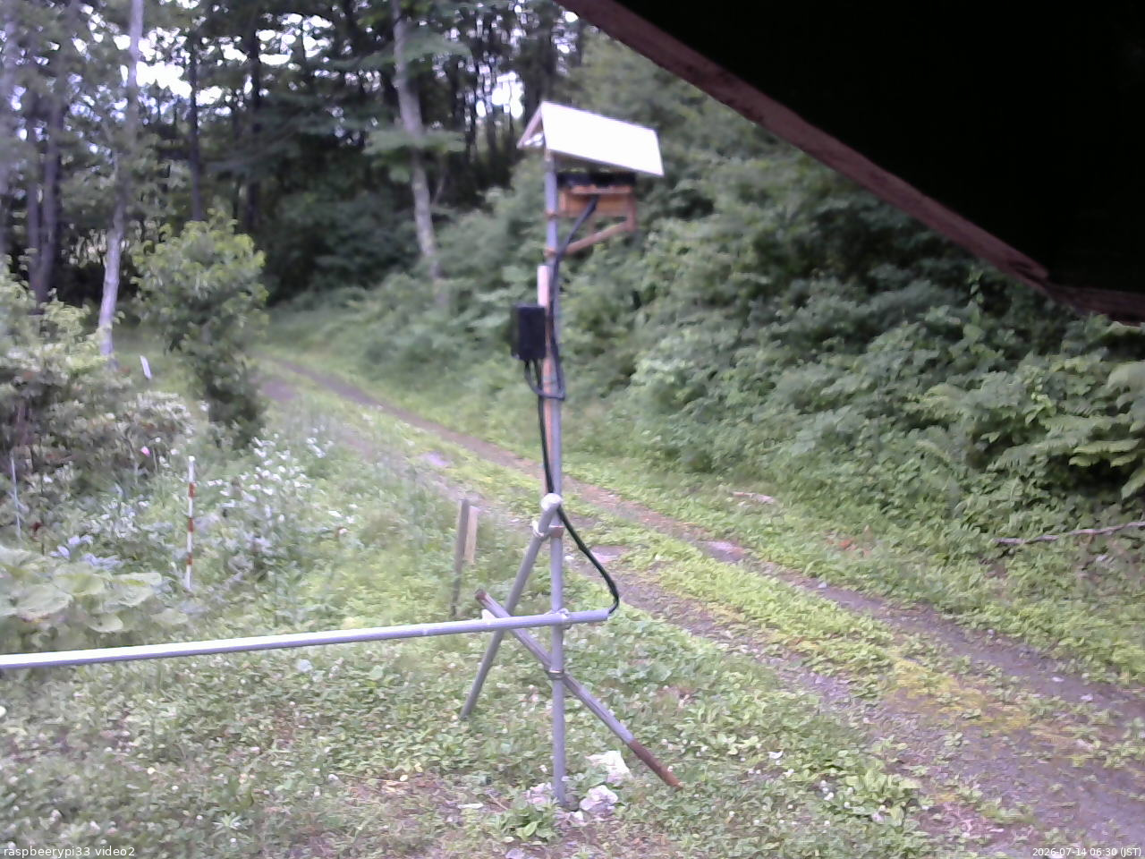 長野県菅平高原 ゆたか山荘 南側 2026/07/14 06:30