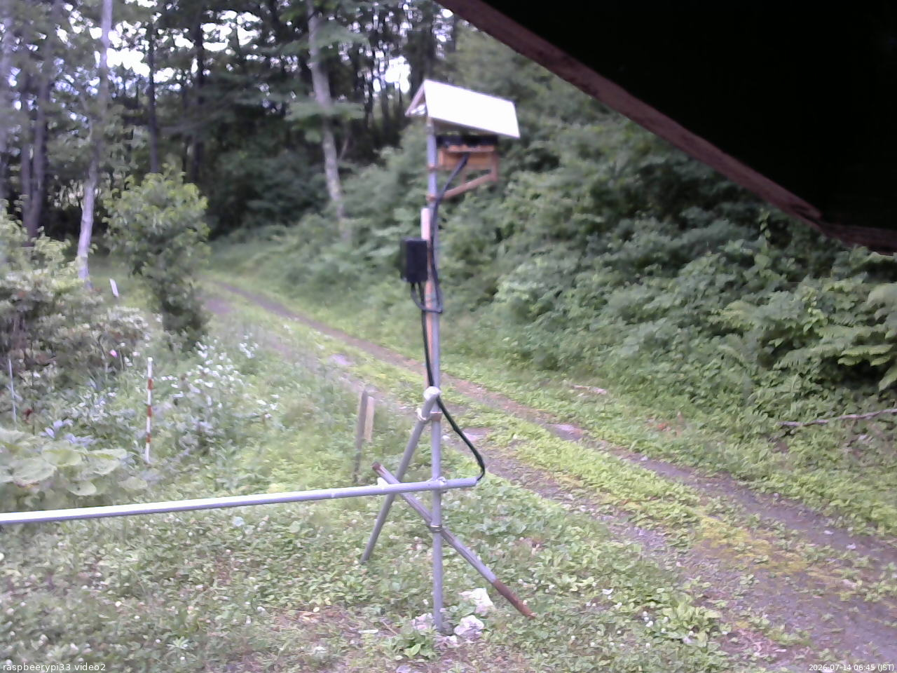 長野県菅平高原 ゆたか山荘 南側 2026/07/14 06:45