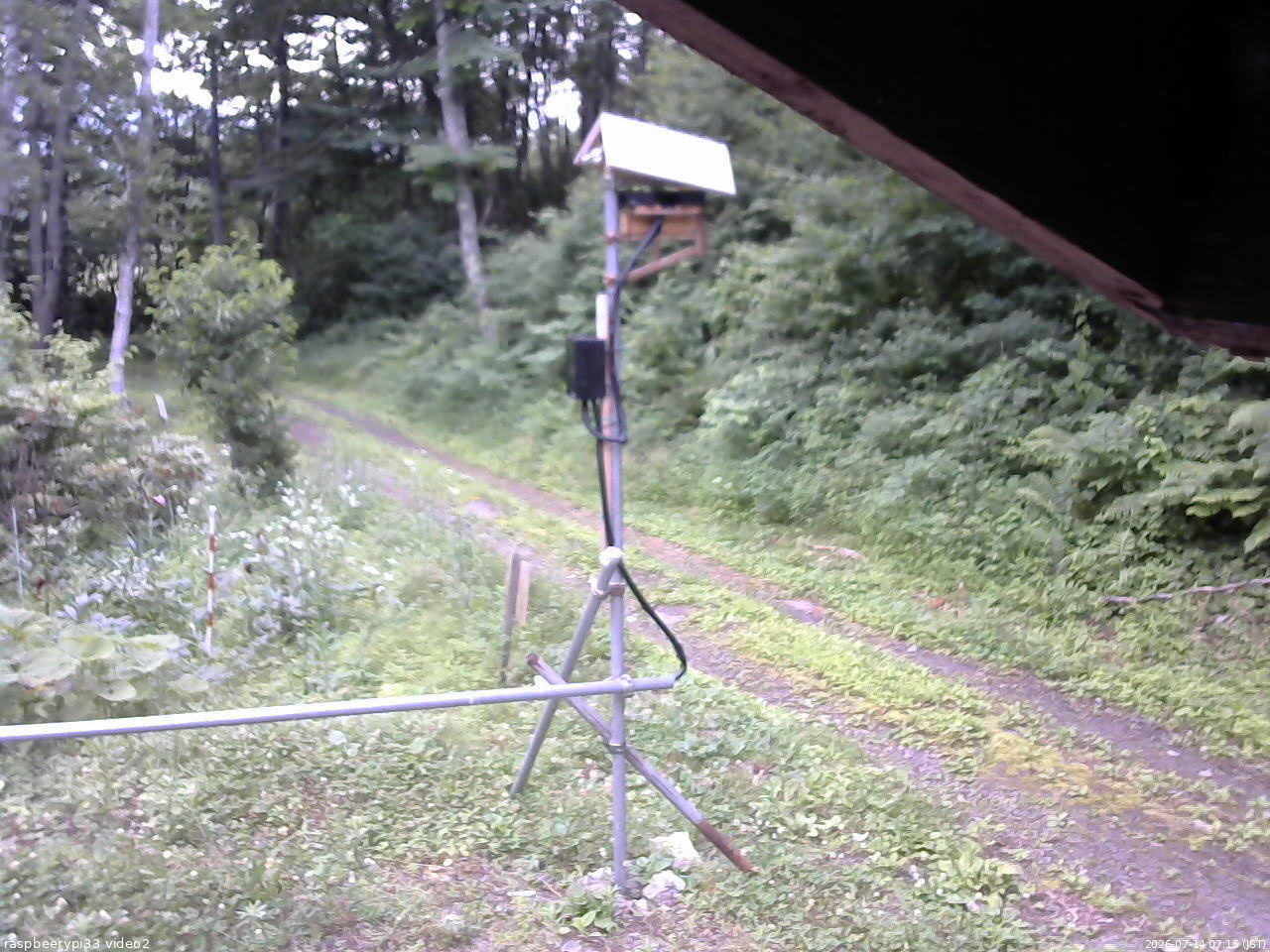 長野県菅平高原 ゆたか山荘 南側 2026/07/14 07:15