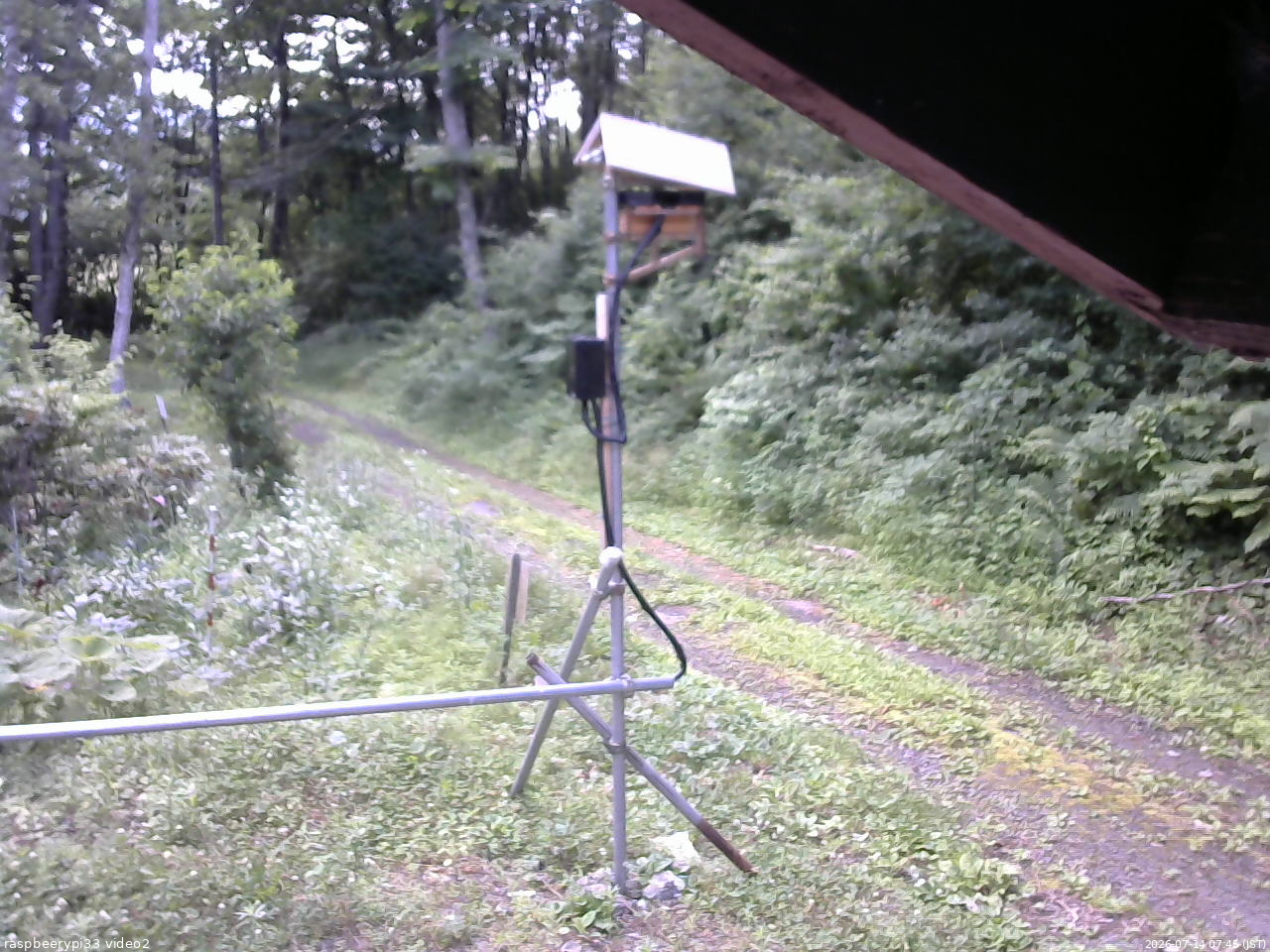 長野県菅平高原 ゆたか山荘 南側 2026/07/14 07:45