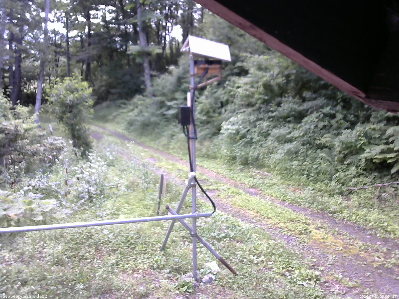 長野県菅平高原 ゆたか山荘 南側 2026/07/14 08:00