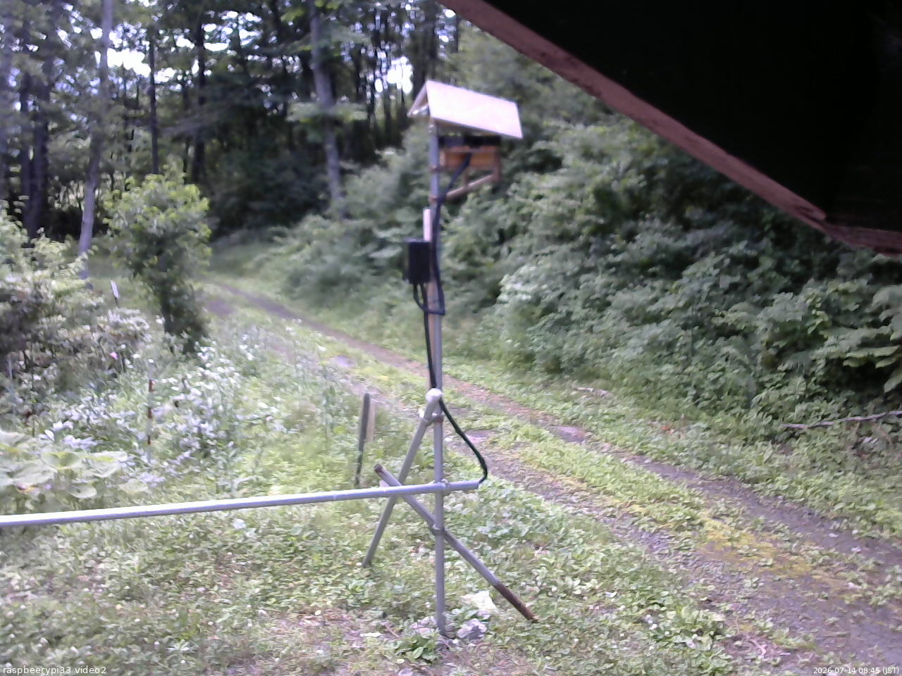 長野県菅平高原 ゆたか山荘 南側 2026/07/14 08:45