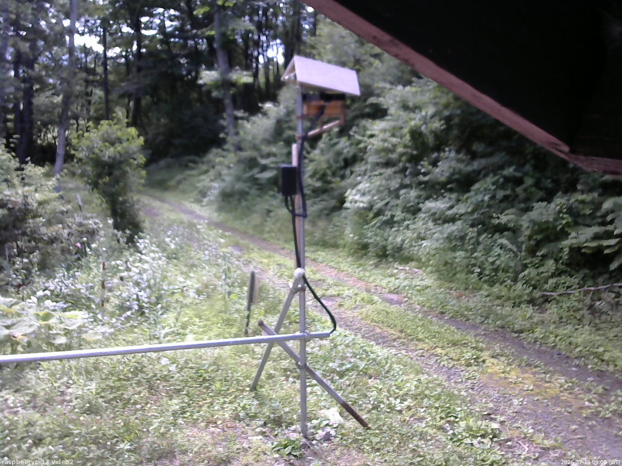 長野県菅平高原 ゆたか山荘 南側 2026/07/14 09:00