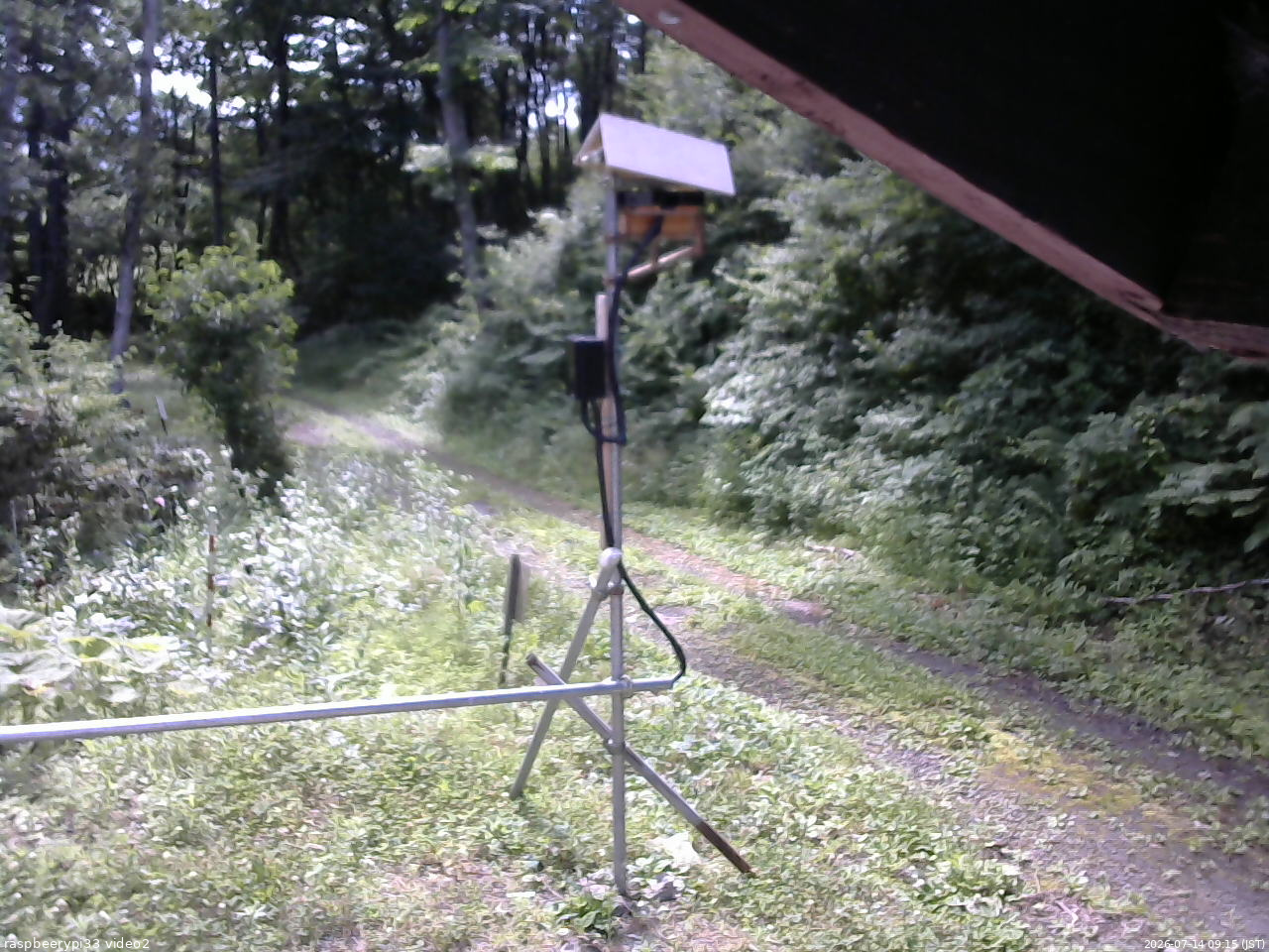 長野県菅平高原 ゆたか山荘 南側 2026/07/14 09:15