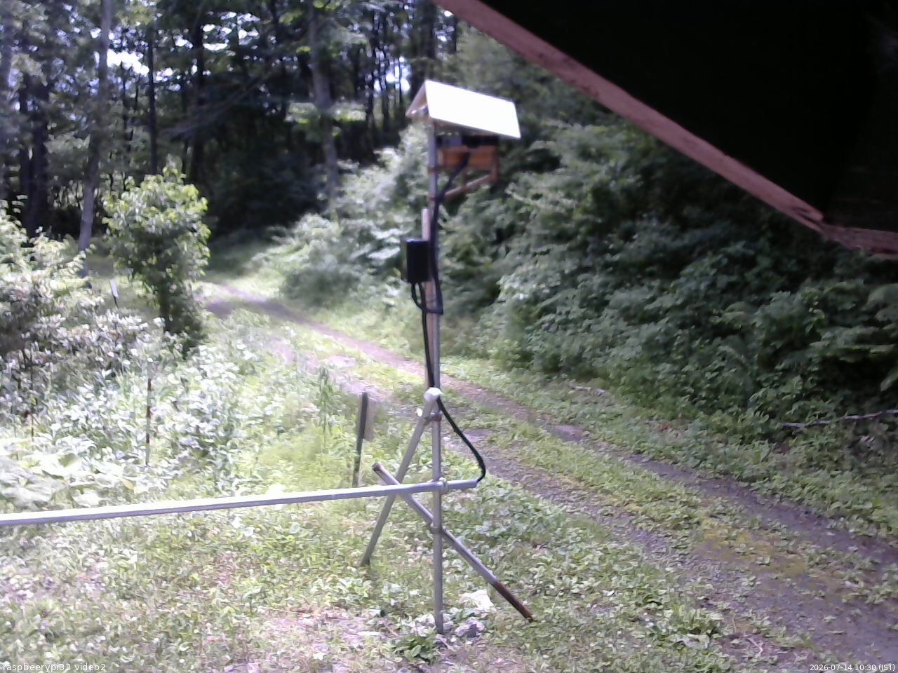 長野県菅平高原 ゆたか山荘 南側 2026/07/14 10:30