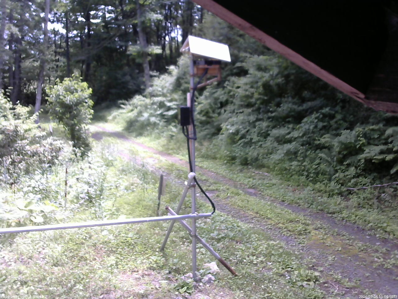 長野県菅平高原 ゆたか山荘 南側 2026/07/14 11:00