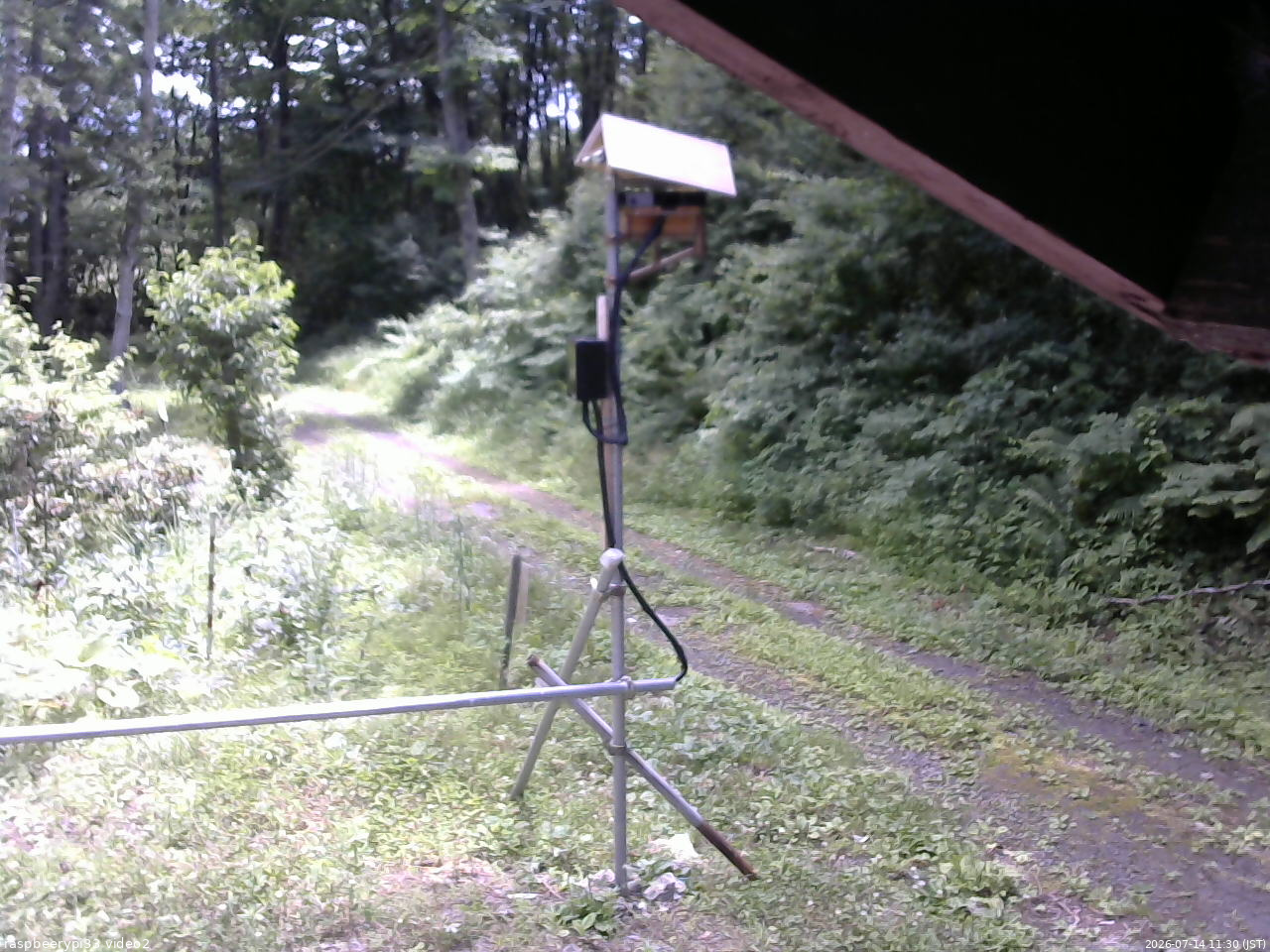 長野県菅平高原 ゆたか山荘 南側 2026/07/14 11:30