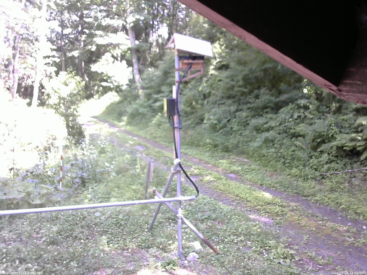 長野県菅平高原 ゆたか山荘 南側 2026/07/14 13:45