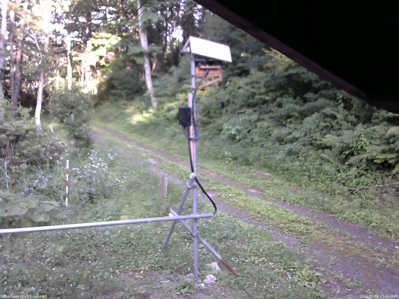 長野県菅平高原 ゆたか山荘 南側 2026/07/14 17:45