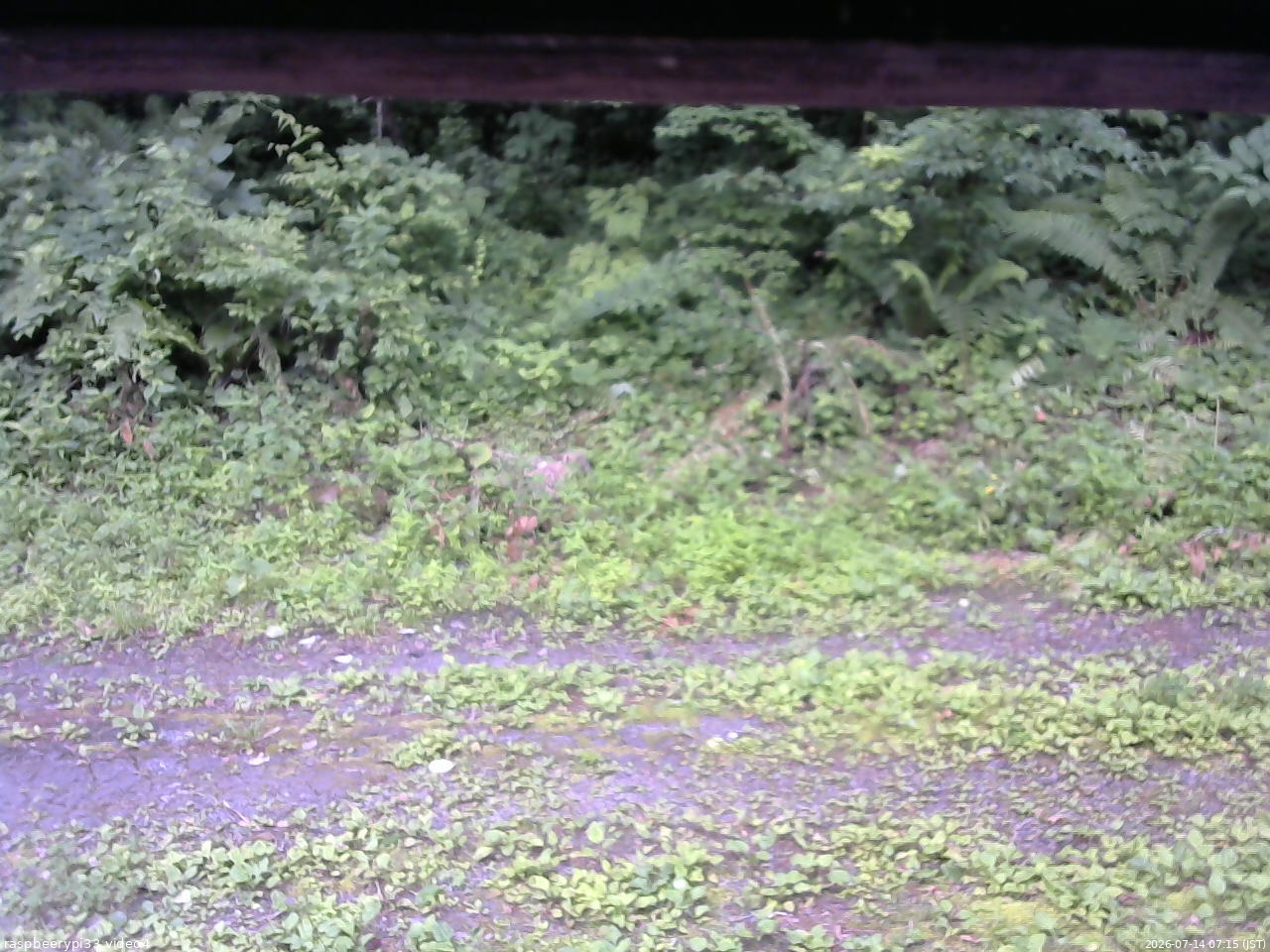 長野県菅平高原 ゆたか山荘 東側(坂下) 2026/07/14 07:15