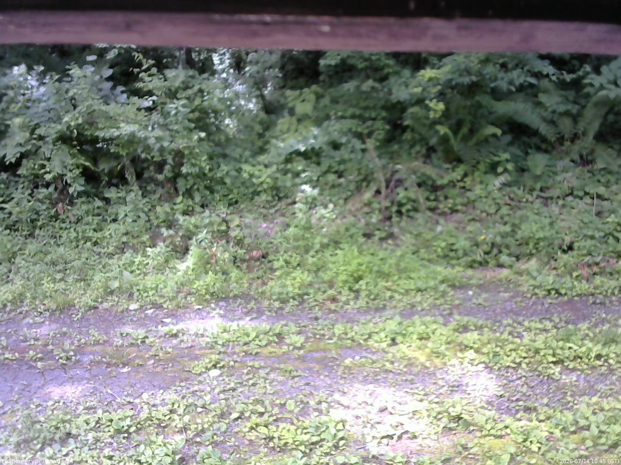 長野県菅平高原 ゆたか山荘 東側(坂下) 2026/07/14 10:45